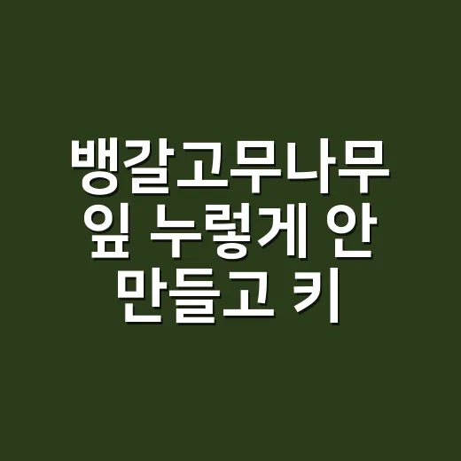 뱅갈고무나무 잎 누렇게 안 만들고 키우는 방법 - 요약