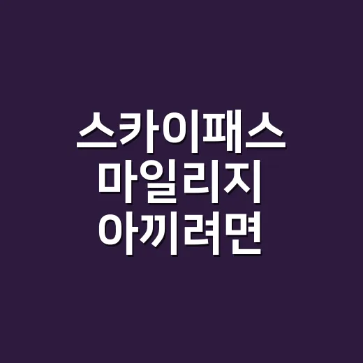 스카이패스 마일리지 아끼려면 이렇게 쓰는 방법 - 요약