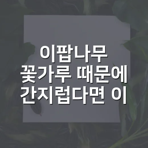 이팝나무 꽃가루 때문에 간지럽다면 이렇게 관리하는 방법 - 요약
