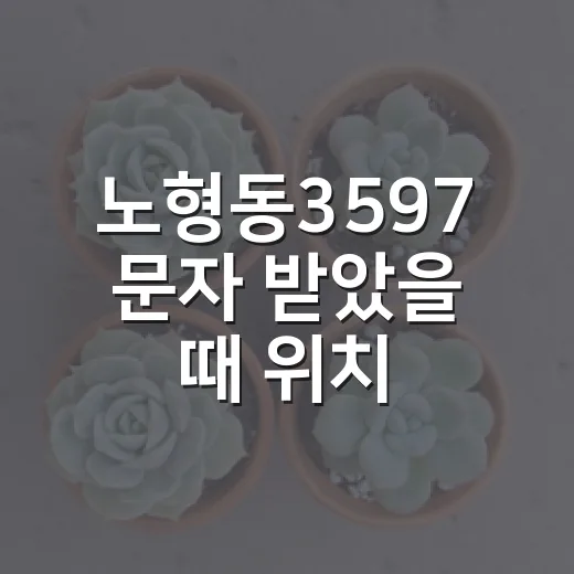 노형동3597 문자 받았을 때 위치 확인하고 대처하는 방법 - 요약