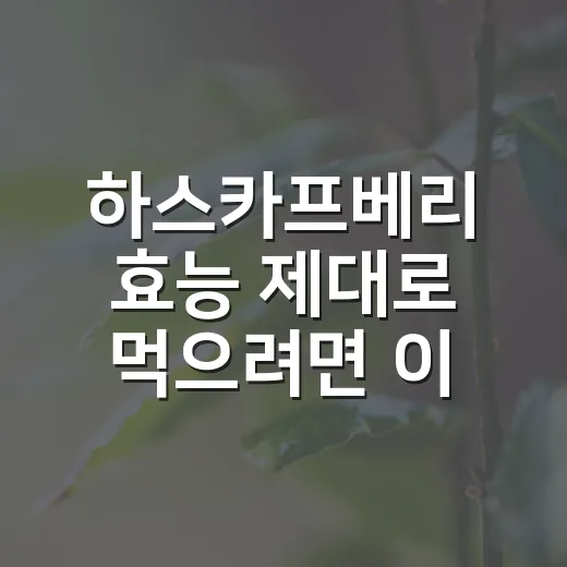 하스카프베리 효능 제대로 먹으려면 이렇게 고르세요 - 요약