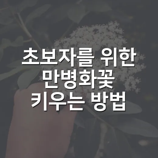 초보자를 위한 만병화꽃 키우는 방법, 고산식물이라 더 조심할 점 - 요약