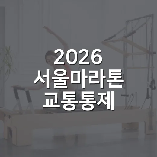 2026 서울마라톤 교통통제 피해서 이동하는 방법 - 요약