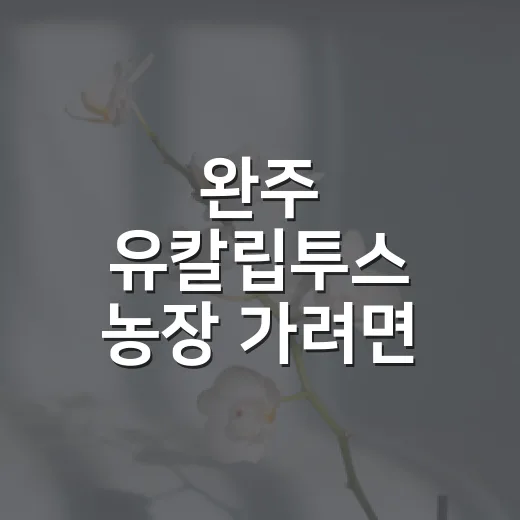 완주 유칼립투스 농장 가려면 이렇게 준비하면 좋아요 - 요약