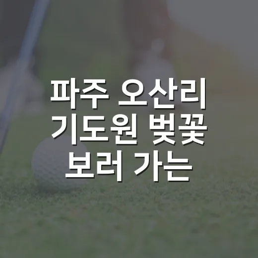 파주 오산리 기도원 벚꽃 보러 가는 방법, 조용히 걷고 사진 남기는 코스 - 요약