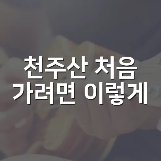 천주산 처음 가려면 이렇게, 부담 줄이는 코스와 준비물 챙기는 방법 - 요약