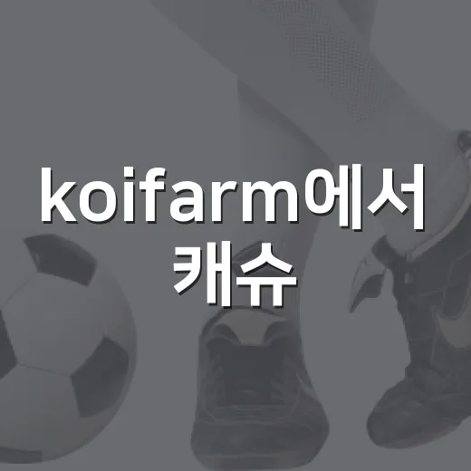 koifarm에서 캐슈·망고 알뜰하게 고르는 방법 - 요약