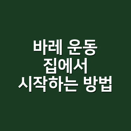 바레 운동 집에서 시작하는 방법, 초보자는 이렇게 하면 부담이 적어요 - 요약