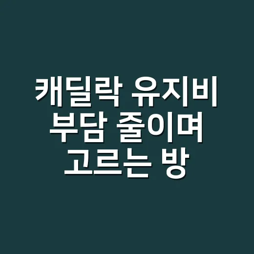 캐딜락 유지비 부담 줄이며 고르는 방법 - 요약
