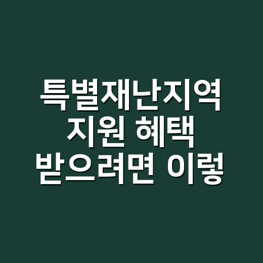 특별재난지역 지원 혜택 받으려면 이렇게 챙기세요 - 요약