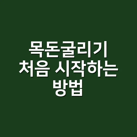 목돈굴리기 처음 시작하는 방법, 1천만 원부터 안전하게 나누는 법 - 요약
