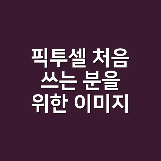 픽투셀 처음 쓰는 분을 위한 이미지 정리하는 방법 - 요약