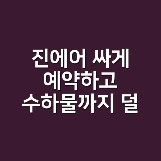 진에어 싸게 예약하고 수하물까지 덜 헷갈리게 챙기는 방법 - 요약