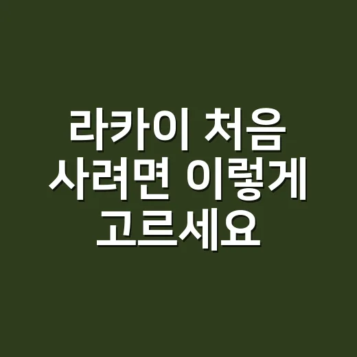 라카이 처음 사려면 이렇게 고르세요: 사이즈, 품질, 할인 체크 방법 - 요약