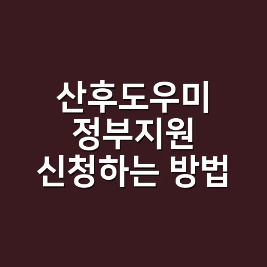 산후도우미 정부지원 신청하는 방법, 초보 엄마가 놓치기 쉬운 체크포인트 - 요약