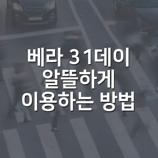 베라 31데이 알뜰하게 이용하는 방법, 패밀리 가격으로 더 크게 먹으려면 - 요약