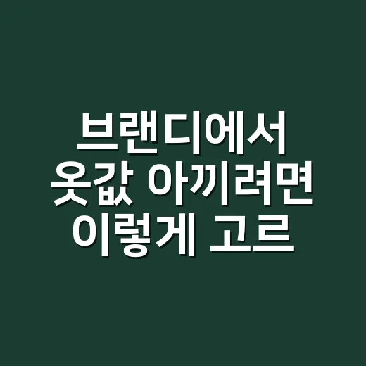 브랜디에서 옷값 아끼려면 이렇게 고르는 방법 - 요약