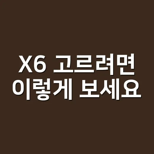 X6 고르려면 이렇게 보세요, 유지비와 실사용 체크 방법 - 요약
