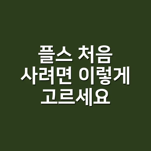 플스 처음 사려면 이렇게 고르세요, 본체부터 게임비까지 아끼는 방법 - 요약