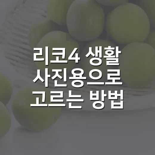 리코4 생활 사진용으로 고르는 방법, 초보자가 먼저 볼 포인트 - 요약