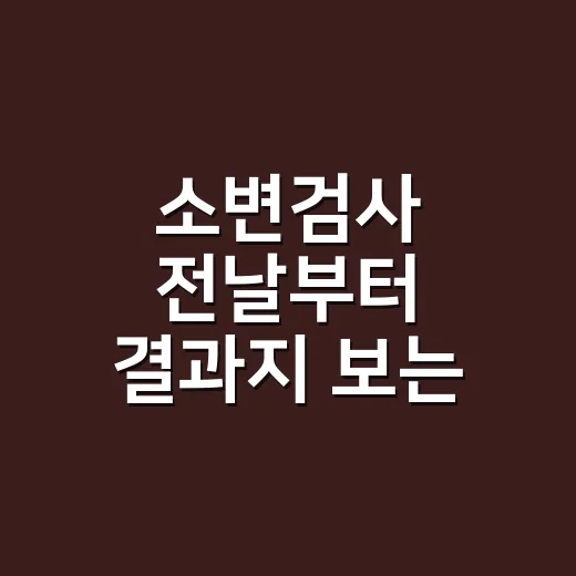 소변검사 전날부터 결과지 보는 방법까지, 처음이면 이렇게 준비하세요 - 요약