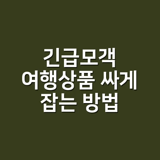 긴급모객 여행상품 싸게 잡는 방법, 초보자는 이렇게 확인하세요 - 요약