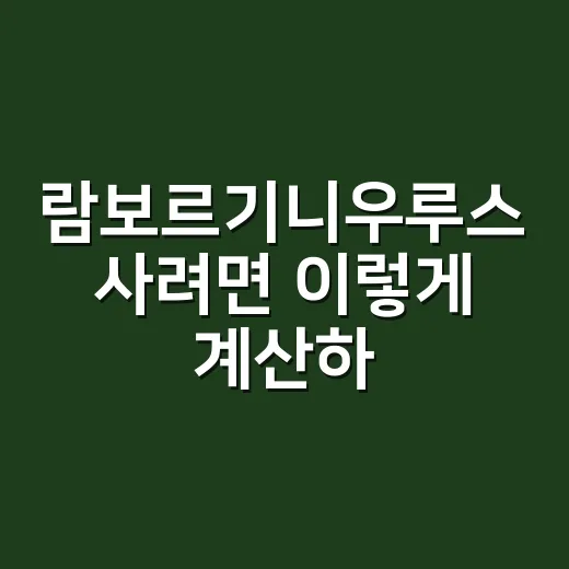 람보르기니우루스 사려면 이렇게 계산하는 방법 - 요약