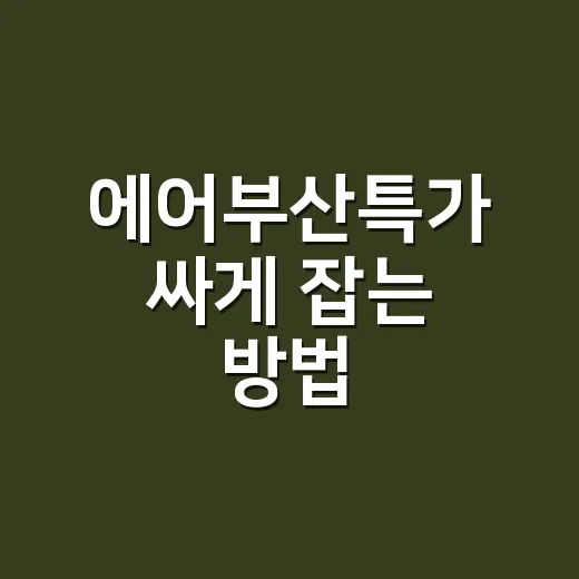 에어부산특가 싸게 잡는 방법, 수하물까지 계산해야 진짜 저렴합니다 - 요약