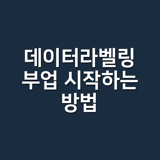 데이터라벨링 부업 시작하는 방법, 초보가 헛수고 줄이려면 이렇게 - 요약