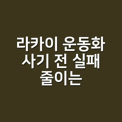 라카이 운동화 사기 전 실패 줄이는 방법 - 요약