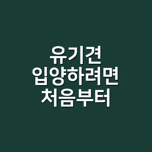유기견 입양하려면 처음부터 이렇게 준비하세요 - 요약
