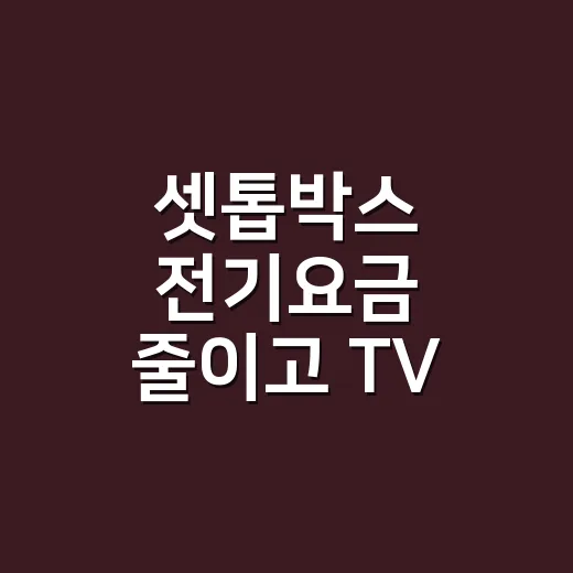 셋톱박스 전기요금 줄이고 TV 끊김 줄이는 방법 - 요약