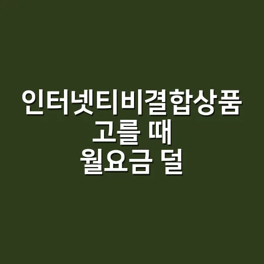 인터넷티비결합상품 고를 때 월요금 덜 새는 방법 - 요약