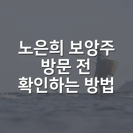 노은희 보앙주 방문 전 확인하는 방법, 예약 전에 볼 체크포인트 - 요약
