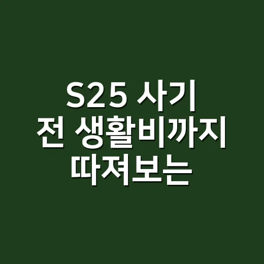 S25 사기 전 생활비까지 따져보는 방법 - 요약