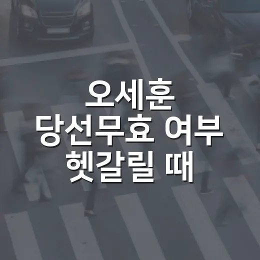 오세훈 당선무효 여부 헷갈릴 때 확인하는 방법 - 요약