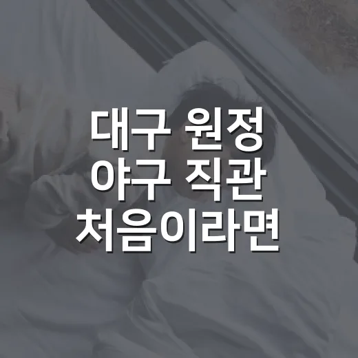 대구 원정 야구 직관 처음이라면 이렇게 준비하는 방법 - 요약