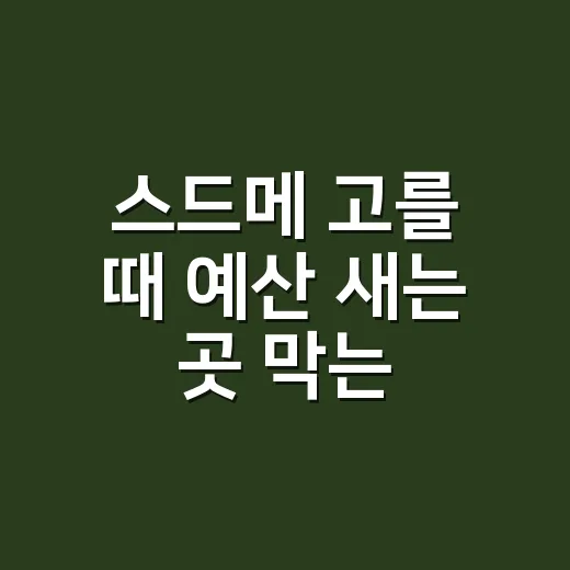 스드메 고를 때 예산 새는 곳 막는 방법 - 요약