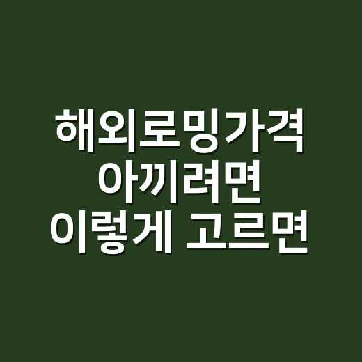 해외로밍가격 아끼려면 이렇게 고르면 됩니다 - 요약