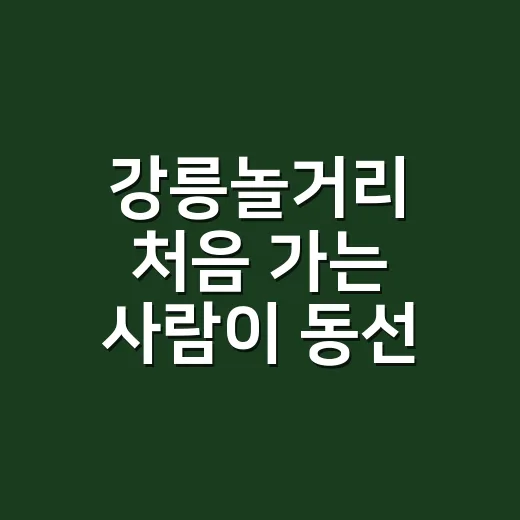 강릉놀거리 처음 가는 사람이 동선 덜 꼬이게 즐기는 방법 - 요약