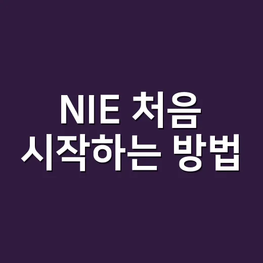NIE 처음 시작하는 방법, 신문 한 장으로 아이 생각 키우려면 이렇게 - 요약