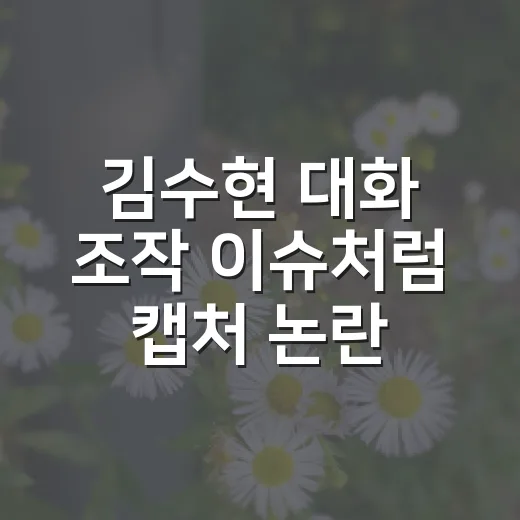 김수현 대화 조작 이슈처럼 캡처 논란 확인하는 방법 - 요약