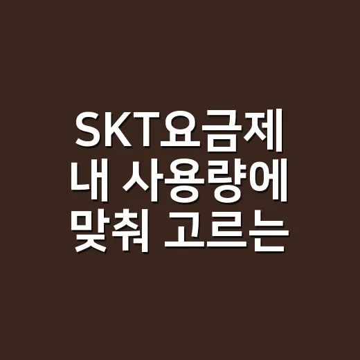 SKT요금제 내 사용량에 맞춰 고르는 방법 - 요약