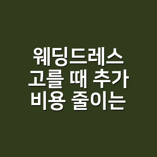 웨딩드레스 고를 때 추가 비용 줄이는 방법 - 요약