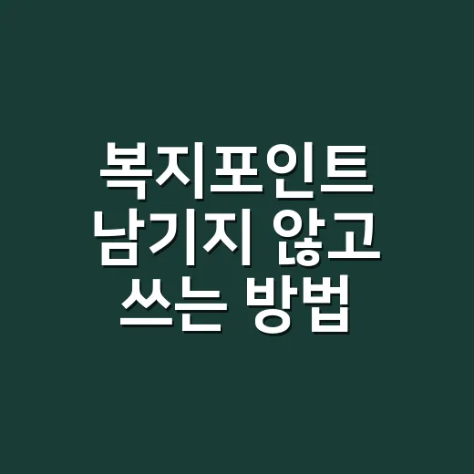 복지포인트 남기지 않고 쓰는 방법 - 요약