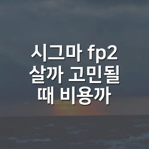 시그마 fp2 살까 고민될 때 비용까지 따지는 방법 - 요약