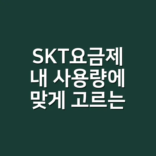 SKT요금제 내 사용량에 맞게 고르는 방법 - 요약