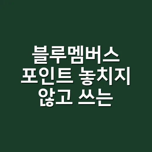 블루멤버스 포인트 놓치지 않고 쓰는 방법 - 요약