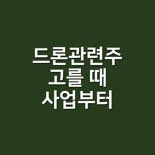 드론관련주 고를 때 사업부터 확인하는 방법 - 요약