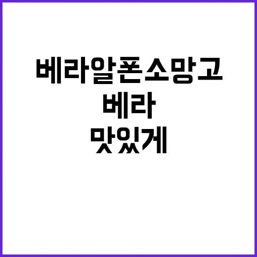 베라 알폰소 망고를 맛있게 즐기는 방법 - 요약